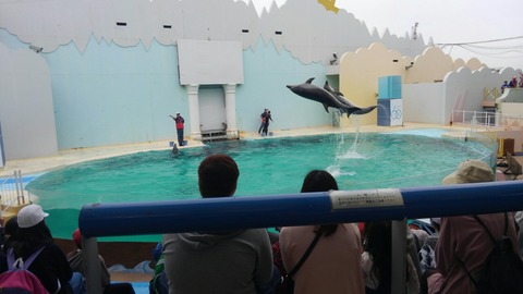 須磨海浜水族園へ２歳と10ヶ月の子を連れて行った口コミ 所要時間 レストラン プレイランドなど だから語りたいフィギュアスケート