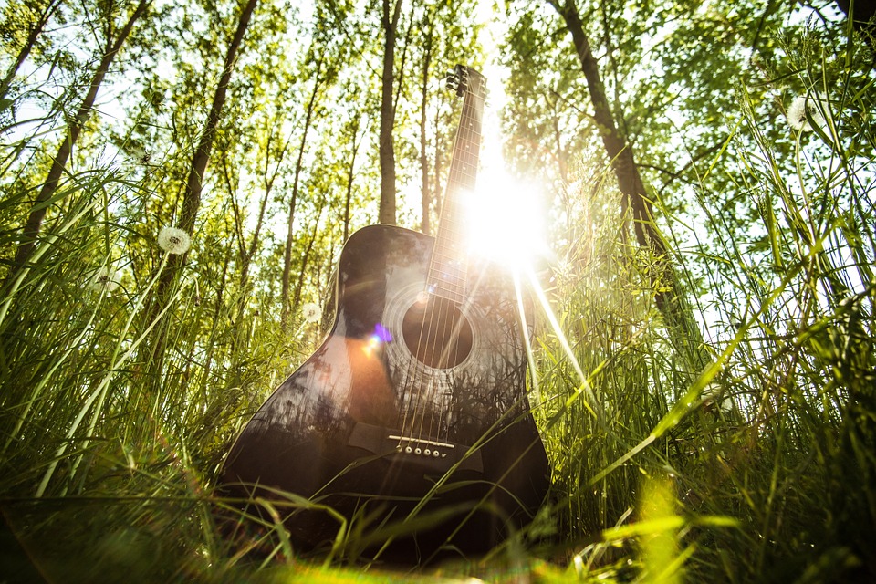 森の中のギター