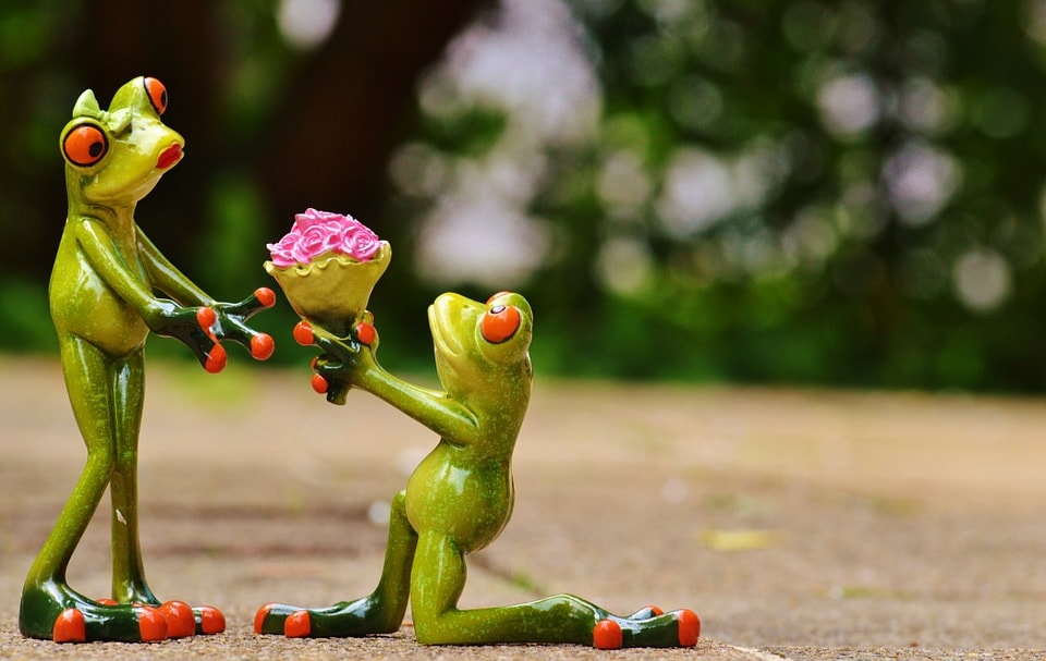 プロポーズで男性が女性に花を渡しているところ